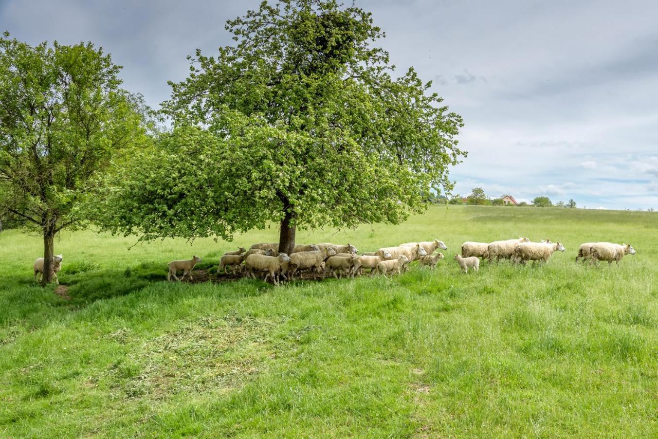 Agroturistika - "Domecek U Ovecek" Villa Horní Těrlicko Kültér fotó