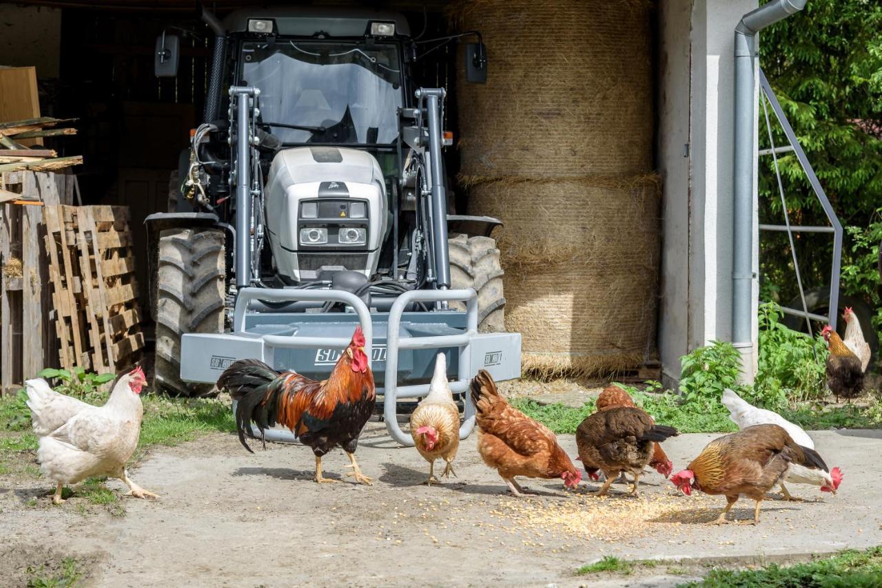 Agroturistika - "Domecek U Ovecek" Villa Horní Těrlicko Kültér fotó